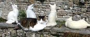 The Cat Pottery